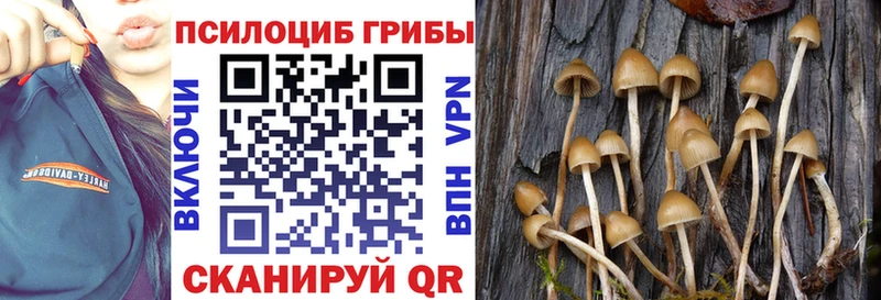 Купить где  Саратов  Галлюциногенные грибы MAGIC MUSHROOMS 
